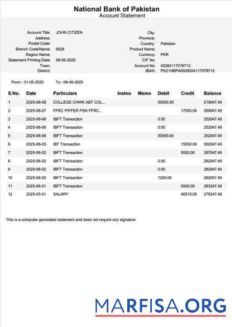 Realistic Pakistan National Bank of Pakistan account statement word 2 pages real example